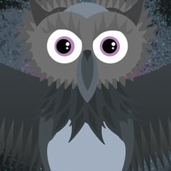Owl!