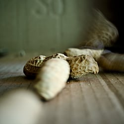 peanuts in motion