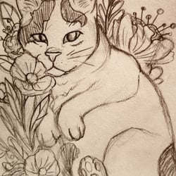 Cat Sketch