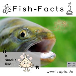 Fish-Facts 2