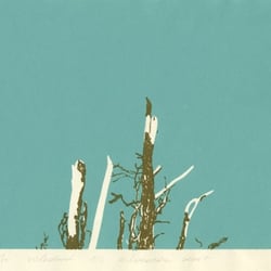 silk screen / siebdruck