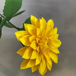 Dahlie