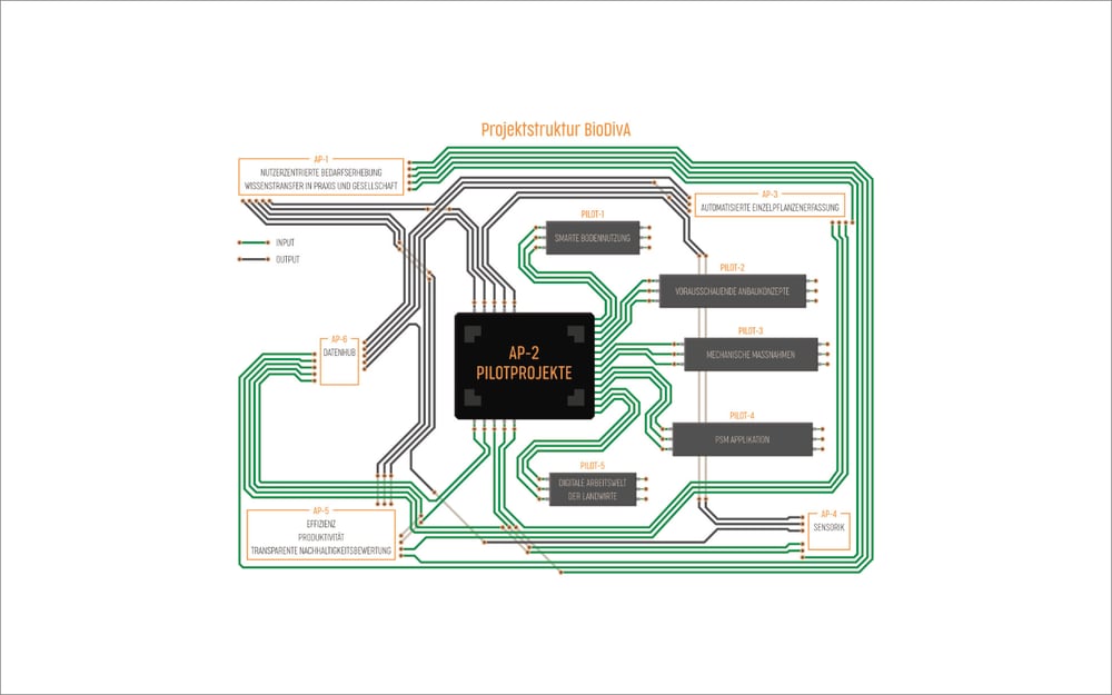 Infografik – BioDIVA 1