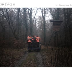 Portfolio028