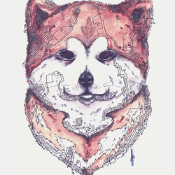 Shiba