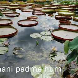 mantra