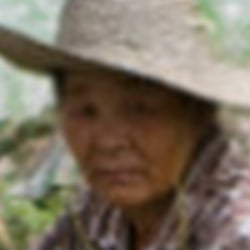 Landleben in der Nähe von Guilin