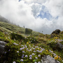 Karwendel