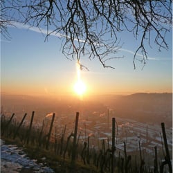 Wintermorgen 1730664k