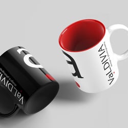 Valdivia Branding