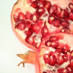 Granatapfel November 2012