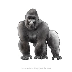 Character Design, Konzept