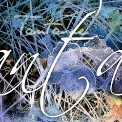text-collage