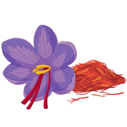 saffron