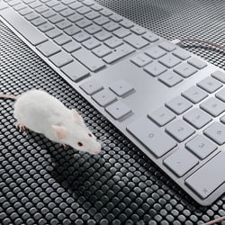 Still Life/Produktfotografie  –  Apple-Mouse