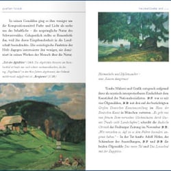 Buchgestaltung, Typografie