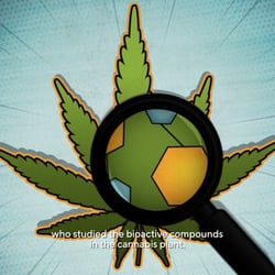 Endocannabinoid System Frontier Pharmaceutical That Works Media 04