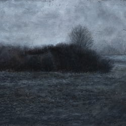 Hecke im Nebel, Landschaft