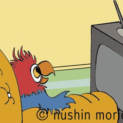 satsang parrot