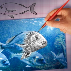 Fische