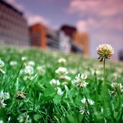 Berlin, Potsdamer Platz
