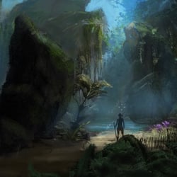 Whimsical Forest