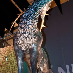 Der 3-Meter-Hirsch 5