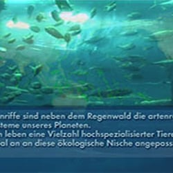 Aquadom – Film