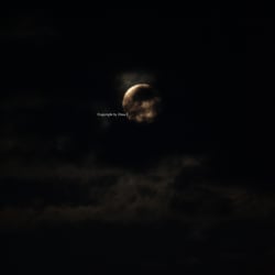 Moon Mai 2014 © by Dina.T