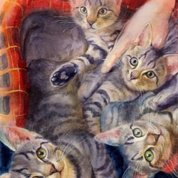 Katzenfamilie – Aquarell
