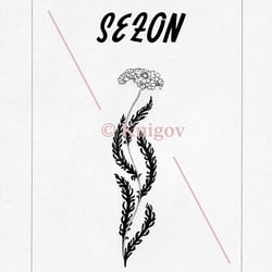 BOOK COVER DESIGN