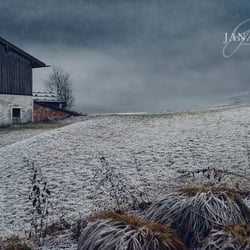 Mystische Naturfotografie
