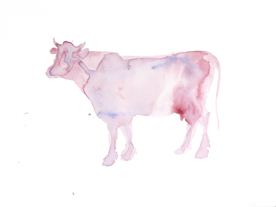 Aquarell Wasserfarben