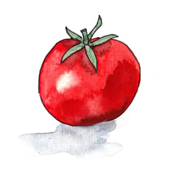 Bild-8