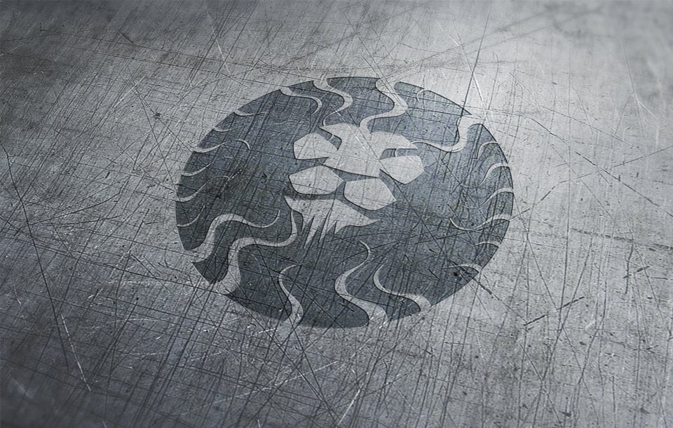 Lion Logo