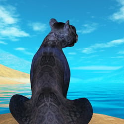Die Panther