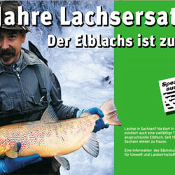 Kampagne Spezialitäten aus Sächsen