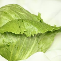 Eisbergsalat Nov. 2012