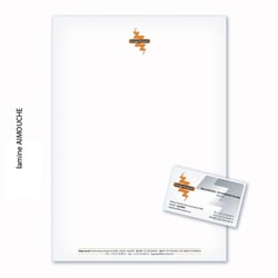 PORTFOLIO 2008-2009