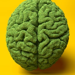 Pea Brain