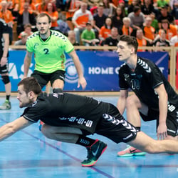1. Volleyball Bundesliga