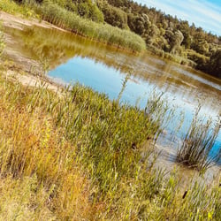 Uckermark / 2022
