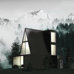 Waldhaus – Early Works