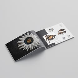 Innen 3