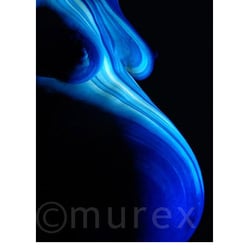 murex10