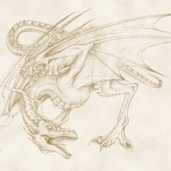 Drachenskizze