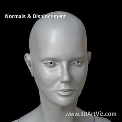 cam 01 04 normals&Displacement