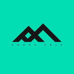 Logo Focus Fels
