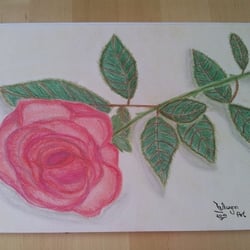 Rose mit Pastellkreide