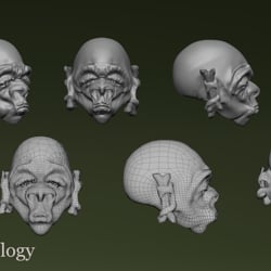 Sculpt and geo